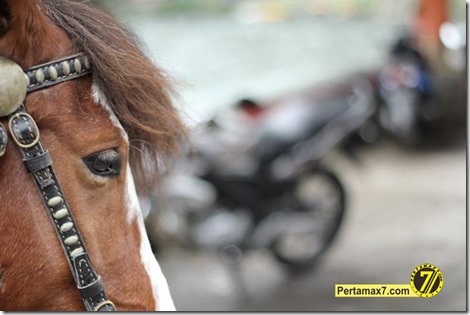 pertamax7.com 104 (Small)