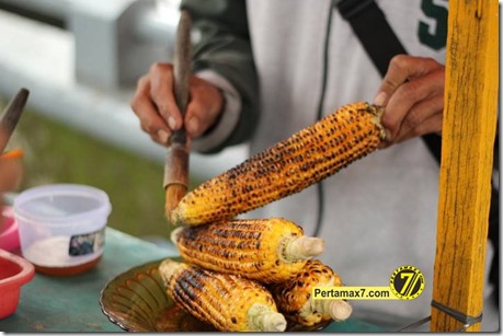 pertamax7.com 329 (Small)