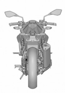 ER2n-Ninja-250-RR-Mono-naked-version-2.jpg