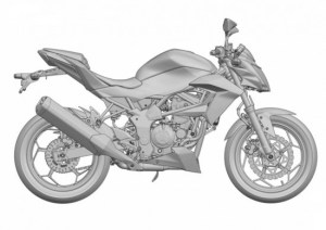 ER2n-Ninja-250-RR-Mono-naked-version-3.jpg