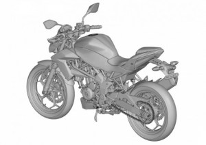 ER2n-Ninja-250-RR-Mono-naked-version-8.jpg