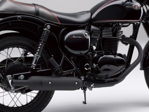 Kawasaki Estrella 2014&nbsp;22