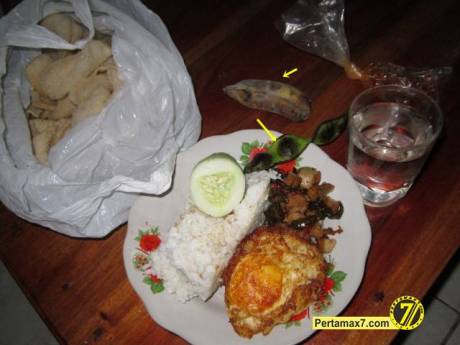 pertamax7.com 324 (Small)