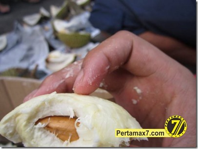 pesta durian pertamax7.com 030 (Small)