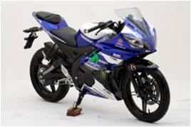 R15 Special Edition (indent online).jpg image