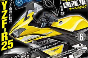 yamaha R25 young&nbsp;machine