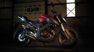 2014-Yamaha-MT125-EU-Anodized-Red-Static-005