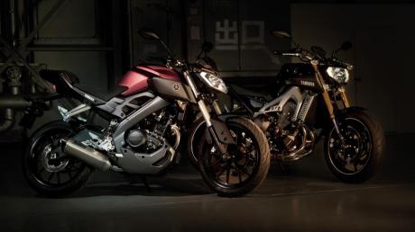 2014-Yamaha-MT125-EU-Anodized-Red-Static-009