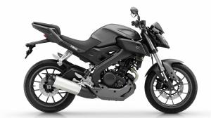 2014-Yamaha-MT125-EU-Matt-Grey-Studio-002
