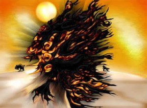 Amaterasu aka blackfire