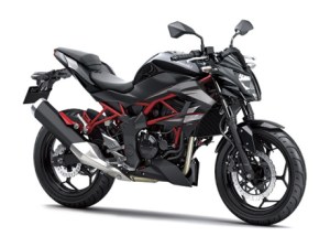 Kawasaki Z250SL aka BR250&nbsp;4