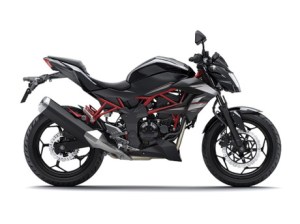 Kawasaki Z250SL aka BR250&nbsp;5