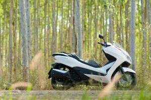 new Honda Forza 300 2014&nbsp;5