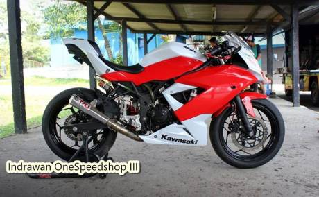 IRS Sport Kawasaki Ninja Race 250 2