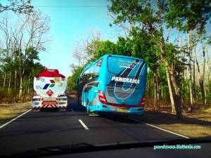 Aksi Ngeblong nekat Bus antar provinsi&nbsp;4