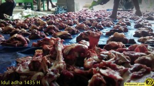 Suasana Idul Adha 1435H di Wonogiri Pertamax7.com&nbsp;15