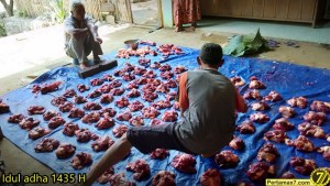 Suasana Idul Adha 1435H di Wonogiri Pertamax7.com&nbsp;17