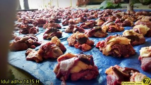 Suasana Idul Adha 1435H di Wonogiri Pertamax7.com&nbsp;19