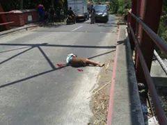 Bocah SD Blitar tewas karena balapan dijalan umum