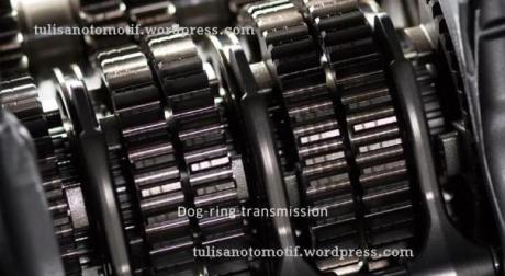 kawasaki dog ring box