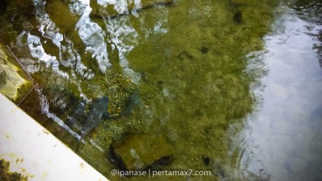 Syukuran Plus Touring Santai YROC TA bareng R15 Blitar ke rambut Monte Mlingi Blitar_-15