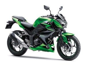 Kawasaki Z250 ABS 2015 ASC 15_ER250D_GRN2_RF