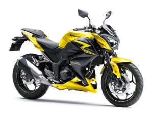 Kawasaki Z250 ABS 2015 ASC 15_ER250D_YEL2_RF