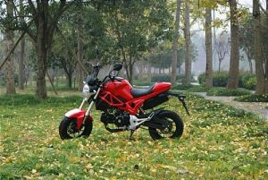 Yinyang YG125-21A mini monster 125&nbsp;3