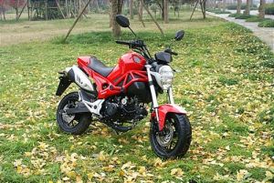 Yinyang YG125-21A mini monster 125&nbsp;5