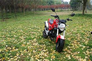 Yinyang YG125-21A mini monster 125&nbsp;6