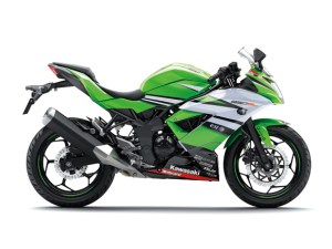 Kawasaki ninja RR Mono Livery WSBK 15_BX250B_WSB_RS pertamax7.com