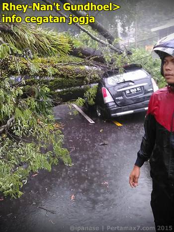 Pohon tumbang depan RS bathesda jogja timpa mobil 1 tewas 001 Pertamax7.com