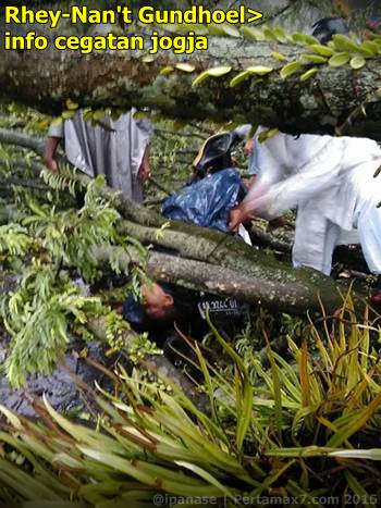 Pohon tumbang depan RS bathesda jogja timpa mobil 1 tewas 003 Pertamax7.com