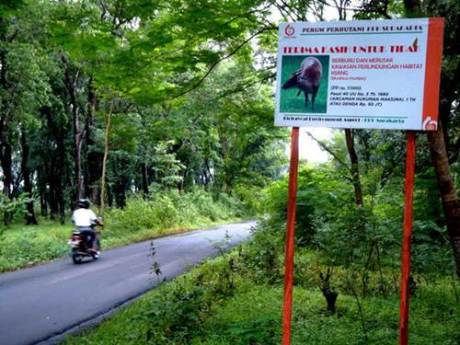 begal alas kethu wonogiri