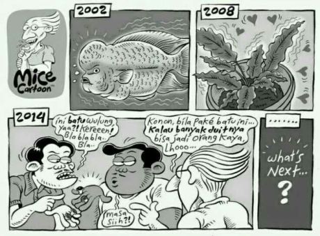 demam batu akik akankan berakhir seperti ikan liuhan dan bunga gelombang cinta