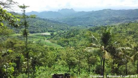 Truk muatan telur Ayam Masuk Jurang jalan Treggalek Ponorogo 05  Pertamax7.com