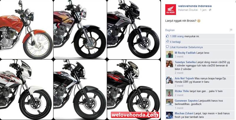 Honda Tiger Lanjut Nggak nih image