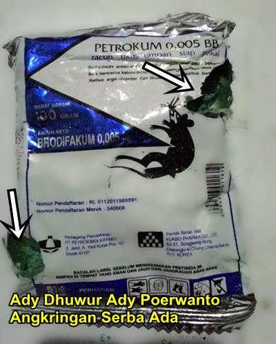 tikus galau racun tikus pun di embat