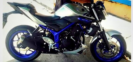 yamaha MT-25 2015 blue silver
