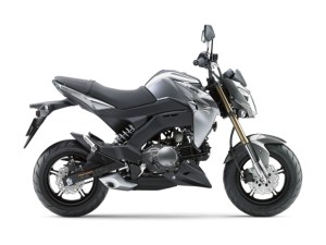 Kawasaki Z125 2016 16_BR125G_GRY_RS Pertamax7.com