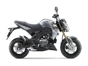Kawasaki Z125 2016 16_BR125H_GRY_RS Pertamax7.com