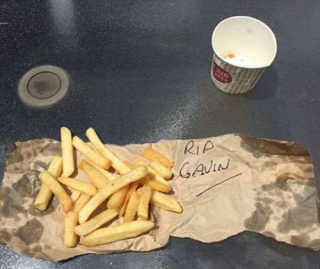 Kematian Gavin si Burung camar Akibat Tabrak Iannone Motogp Bikin Sedih Warga Australia pertamax7.com 1