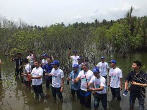 liputan Penanaman 100 bibit mangrove di kawasan mangrove Bulaksetra Pangandaran (1)&nbsp;pertamax7.com