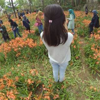 Miris, Taman Bunga Amarillys yang indah di Pathuk Gunung Kidul Itu Rusak DI Injak Alay-er 03 Pertamax7.com