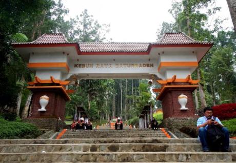 Baru Saja Di Resmikan Gubernur Jawa Tengah, Taman Bunga Kebun Raya Baturraden Di Injak-Injak Pasukan Selfie 02 Pertamax7.com