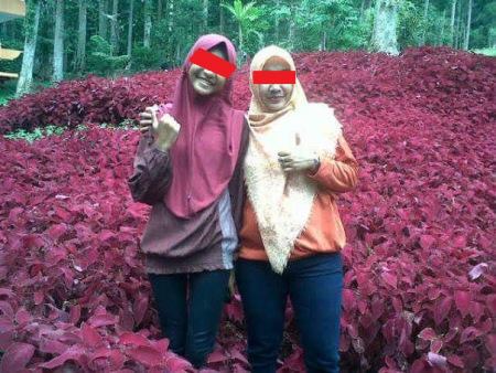 Baru Saja Di Resmikan Gubernur Jawa Tengah, Taman Bunga Kebun Raya Baturraden Di Injak-Injak Pasukan Selfie 05 Pertamax7.com