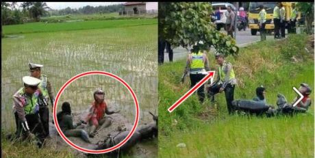 Takut di Tilang, Dua gadis Memilih Terjun Ke Sawah di Jepara pertamax7.com 11