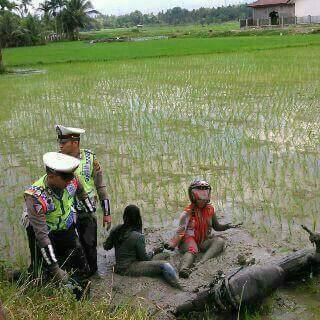 Takut di Tilang, Dua gadis Memilih Terjun Ke Sawah dijepara pertamax7.com