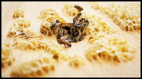 i Hari Lebah Sedunia