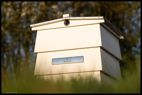 Project Peternakan Lebah Rolls-Royce Apiary